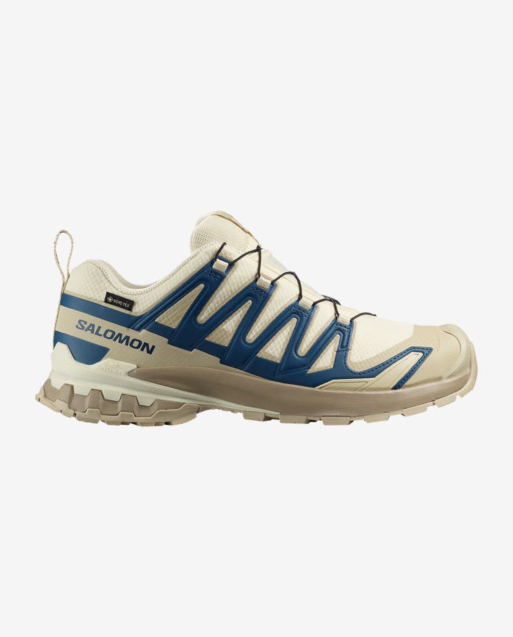 XA PRO 3D V9 GORE-TEX