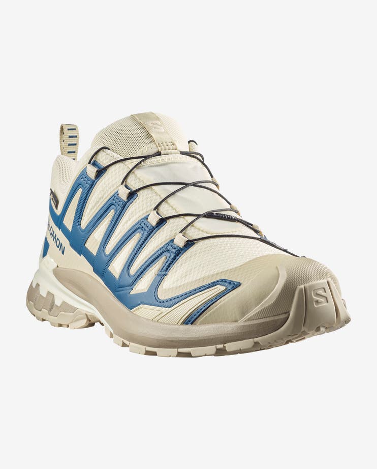 XA PRO 3D V9 GORE-TEX