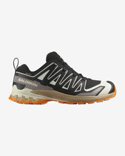 XA PRO 3D V9 GORE-TEX